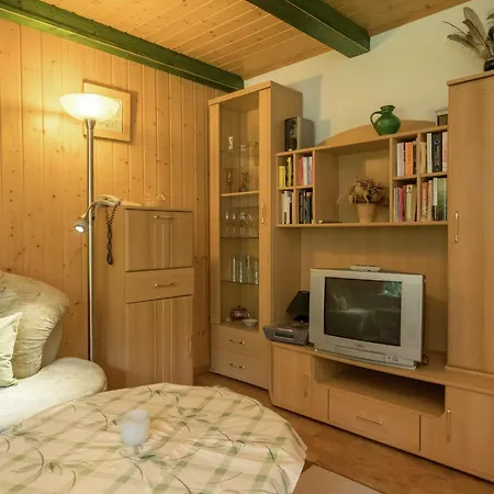 Harz With Outdoor Space Vakantiehuis