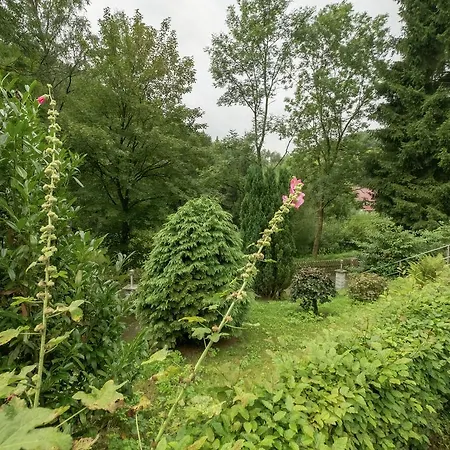 Harz With Outdoor Space Ferienhaus Ilfeld