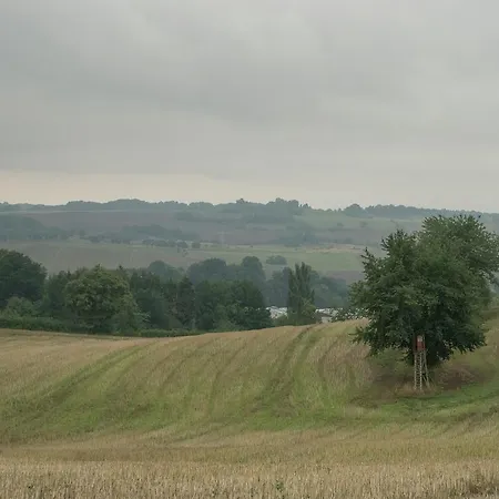 Harz With Outdoor Space Дом отдыха