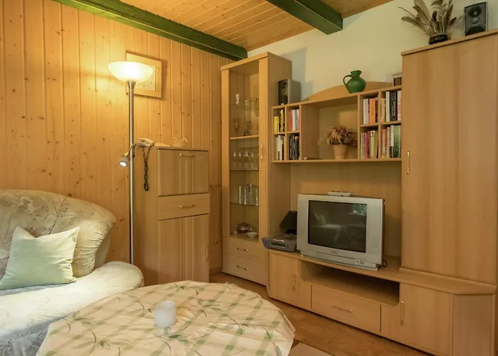 Harz With Outdoor Space Ferienhaus