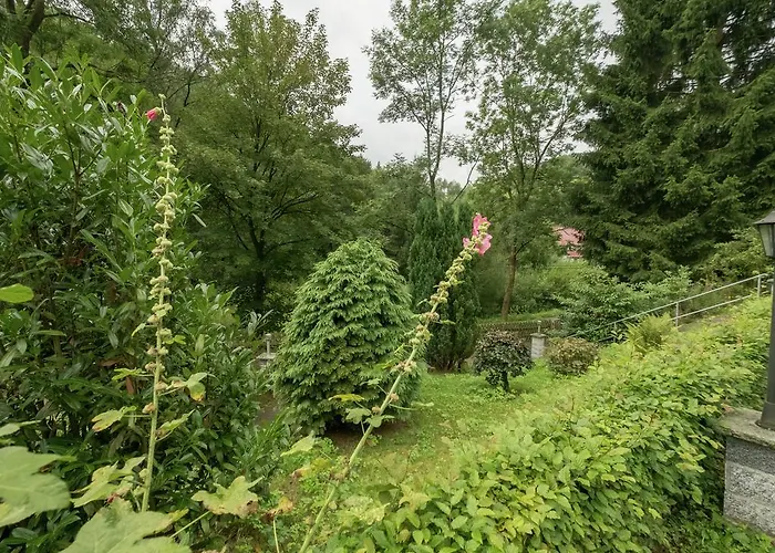 Harz With Outdoor Space Ferienhaus Ilfeld