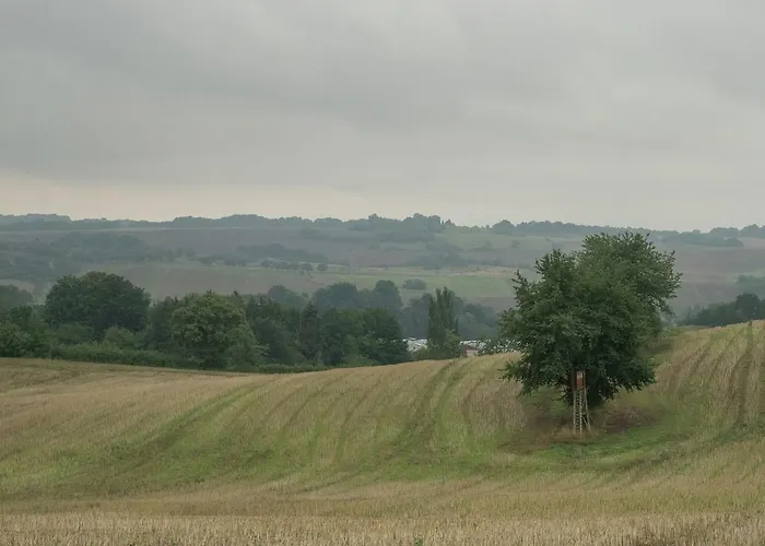 Harz With Outdoor Space Ferienhaus
